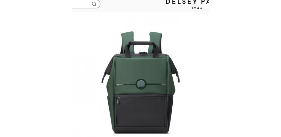 СУМКА - РЮКЗАК DELSEY Turenne 14" 1632610